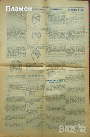 Животъ. Седмичникъ отъ живота за живота. Год. 1: Бр. 1, 4, 7, 9, 10 / 1929, снимка 3 - Антикварни и старинни предмети - 52753413