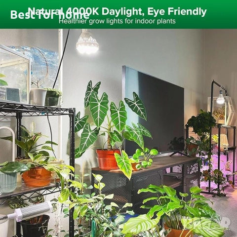 SANSI лампи за отглеждане на стайни растения с пълен спектър, 36W, снимка 2 - Други - 52829928