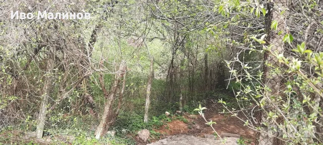 Продавам имот в землището на гара Лакатник, снимка 9 - Парцели - 47582139