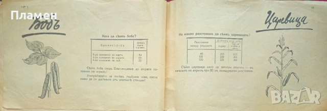 Пролетна сеитба Панайотъ Маждраковъ /1942/, снимка 4 - Антикварни и старинни предмети - 53873124
