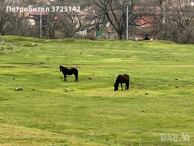 Голям, слънчев парцел, снимка 2 - Парцели - 54017500