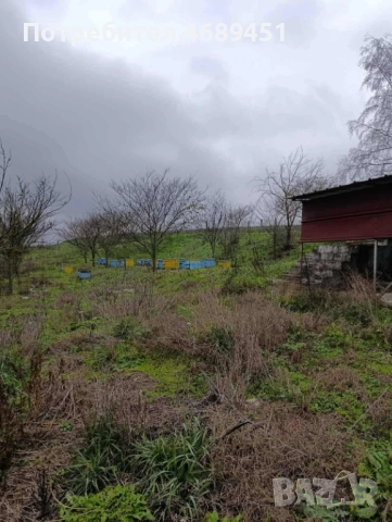 Парцел село Батово, снимка 7 - Парцели - 52868908