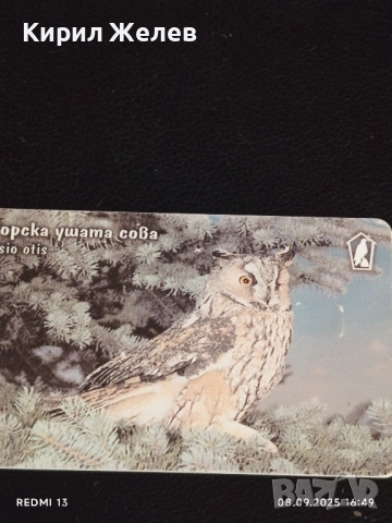 Три фонокарти тема ЖИВОТНИ ШИПООПАШАТА КОСТЕНУРКА,СОВА,ЖАБА 50812, снимка 7 - Колекции - 51643922