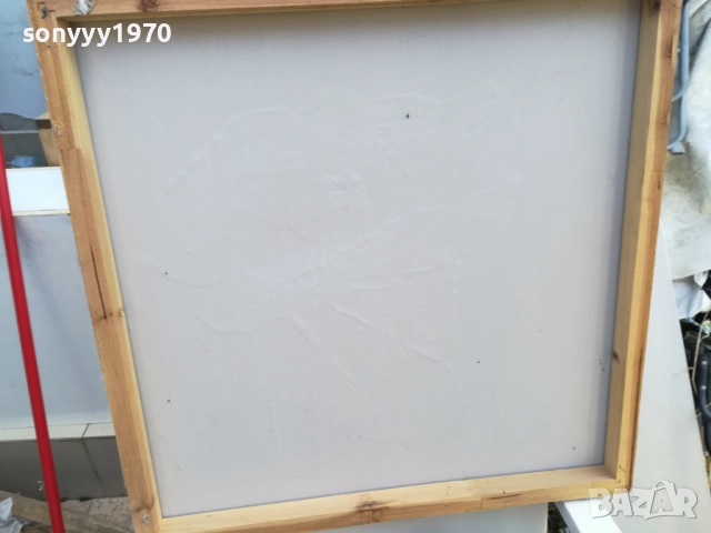 КАРТИНА С ЦВЕТЕ 60Х60СМ 1510251604, снимка 17 - Картини - 52064318