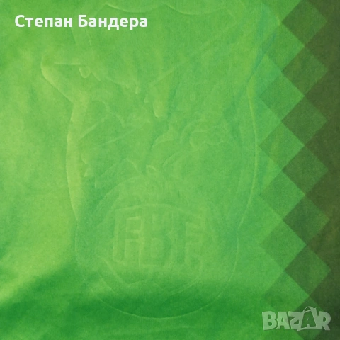 НОВА БЕЗ ЕТИКЕТ BOLIVIA L Marathon FIFA WC2018 CONMEBOL оригинална фланелка тениска Боливия, снимка 7 - Футбол - 53917127