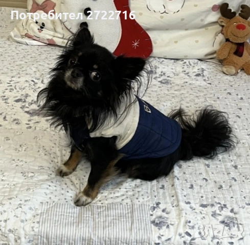 Арчи ди търси дама, снимка 2 - Търси партньор - 53829937