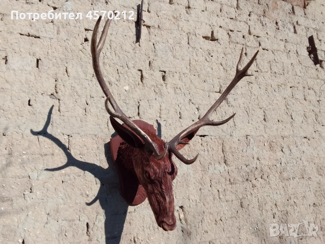 Ловен трофей от благороден елен, Поставка за еленски рога, Дърворезба за механа, Подарък за ловец  , снимка 2 - Декорация за дома - 51578899