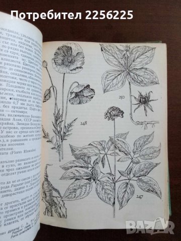Нашите лекарствени растения част 2, снимка 8 - Специализирана литература - 50600185