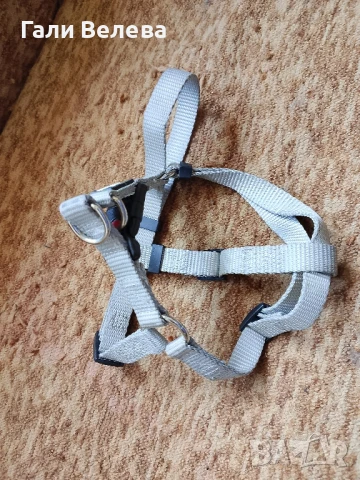 Нагръдник за куче, снимка 2 - За кучета - 50889689