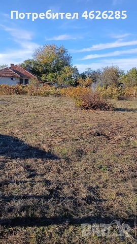 с.Сушица, село Сушица, област Велико Търново , снимка 14 - Къщи - 52235068