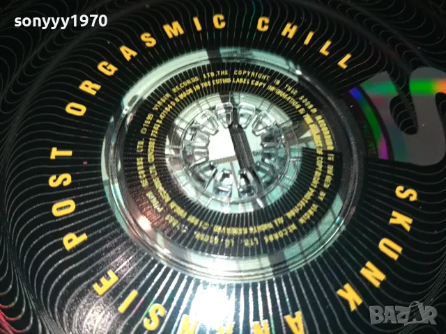 SKUNK ANANSIE CD 0104251948, снимка 8 - CD дискове - 49730759