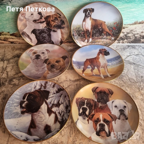 Чинии за стена , снимка 9 - Декорация за дома - 53054437