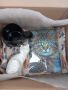 Кутия с подарък коте\сувенир, снимка 3
