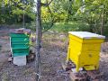 Продавам пчелни семейства, снимка 1 - За пчели - 45917228