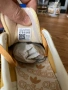 Оригинални маратонки Adidas Gazelle , снимка 10