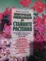 Енциклопедия за стайните растения, снимка 2