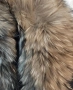 яке ест косъм лисица, снимка 2