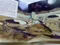 Панорамна книга "В Космоса - В.Севастиянов" - 1979г., снимка 7