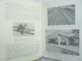 Книга 60 години градски пътнически транспорт - София, 1901-1961 Георги Георгиев и др. 1962 г., снимка 4