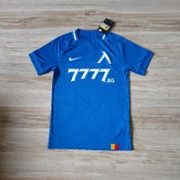 Оригинална мъжка тениска Nike Dri-Fit x PFC Levski Sofia / Season 19-20 (Home), снимка 1 - Тениски - 45477741