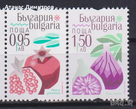 Чисти марки Флора Екзотични плодове 2025 от България , снимка 1