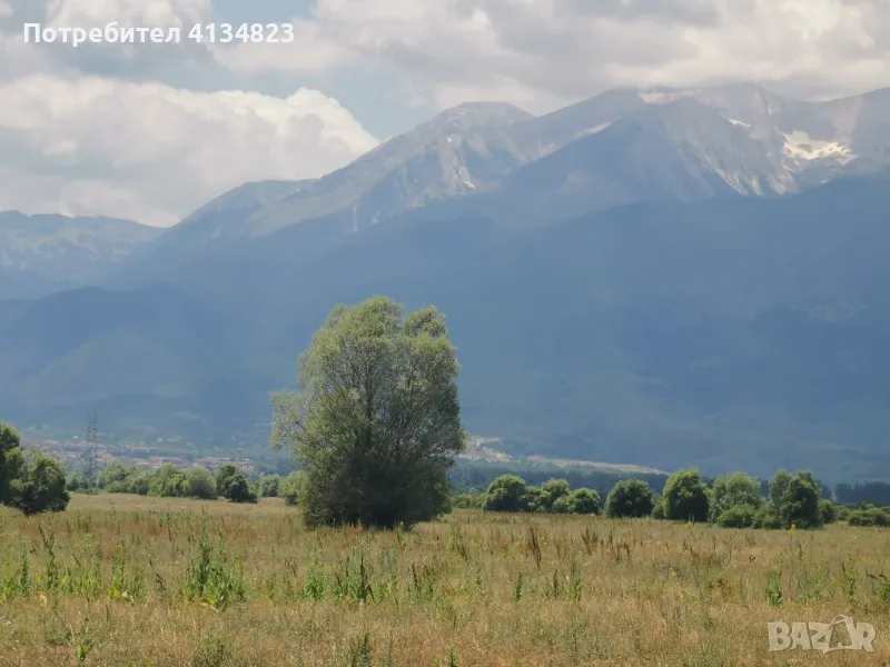 ПАРЦЕЛ - 4.2 ДЕК, ПРАВИЛНА ФОРМА, НА 600 М. ОТ РЕГУЛАЦИЯТА НА С. БАНЯ!, снимка 1