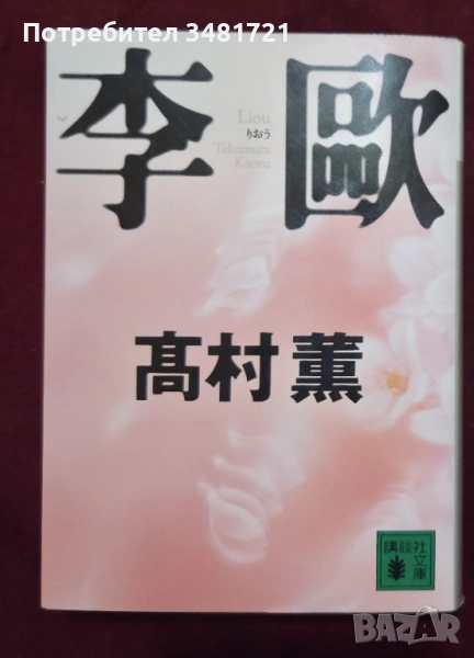 Liou / 李歐, снимка 1