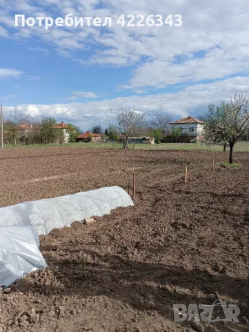 Изгоден имот в село избегли, снимка 10 - Къщи - 47153556