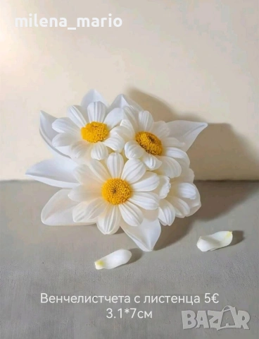 Нови молдове 3