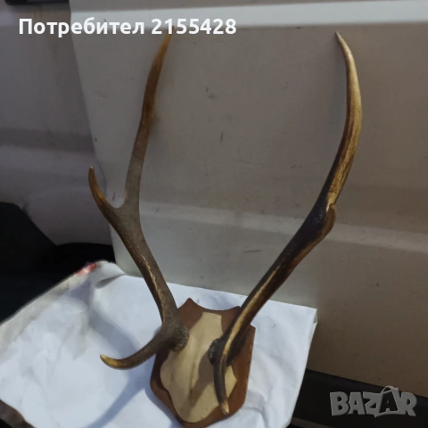 Еленски рога