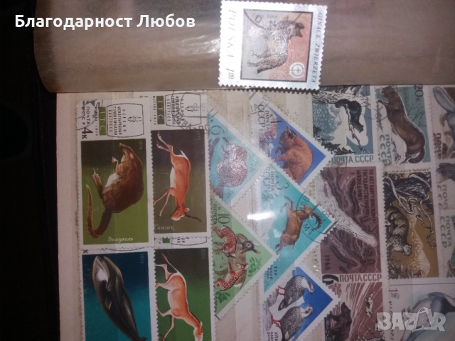 Античен класьор с няколко колекции стари марки, снимка 14 - Филателия - 52427543