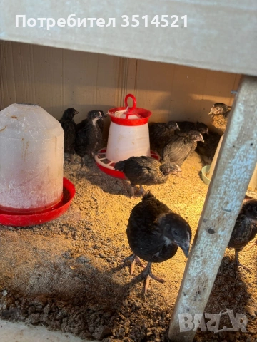 Супер харко