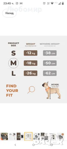 стабилна седалка за кола за кучета - Подсилена седалка за кучета за средно големи кучета

М размер , снимка 3 - За кучета - 49946235