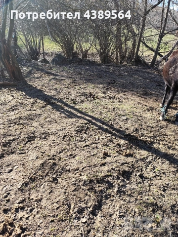 Парцел, снимка 4 - Парцели - 53752352