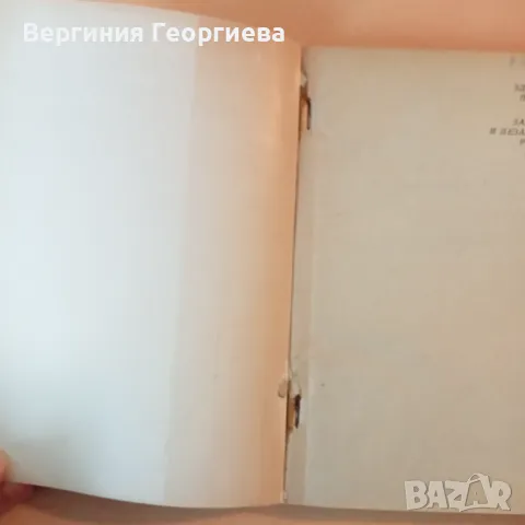 Законно и незаконно родени умове - Здравко Петров , снимка 3 - Художествена литература - 46828049