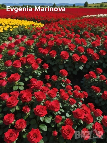 Продавам тристаен,ет3 до Басейнова дирекция