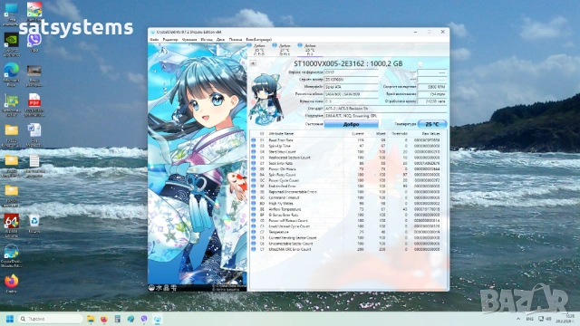 Хард диск Seagate SkyHawk Surveillance ST1000VX005 1TB SATA 6.0Gb/s, снимка 10 - Твърди дискове - 53669539