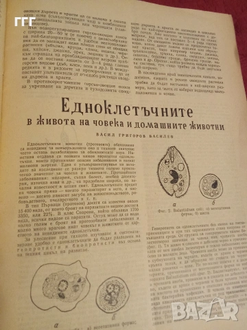 Природа и знание, снимка 2 - Списания и комикси - 53205399