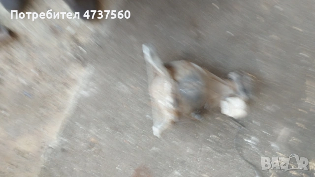 Деференциял за Е212 2.2CDI заден, снимка 2 - Части - 53668348