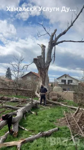 Хамали Дупница 0896305155, снимка 14 - Хамалски услуги - 50194329