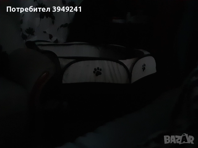 Много Спешно  !! Йорки(Чорки), снимка 5 - Други - 52854305