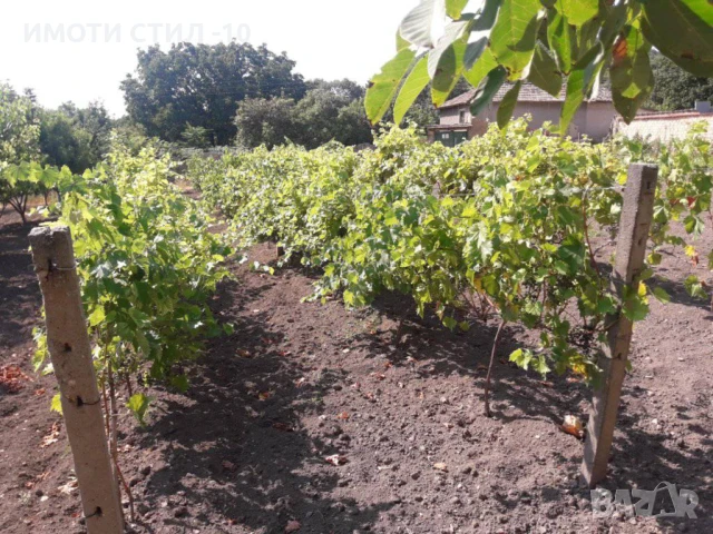 Продава къща в с. Войвода 50 000евро, снимка 7 - Къщи - 51416442