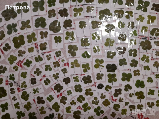 Четирилистни детелини