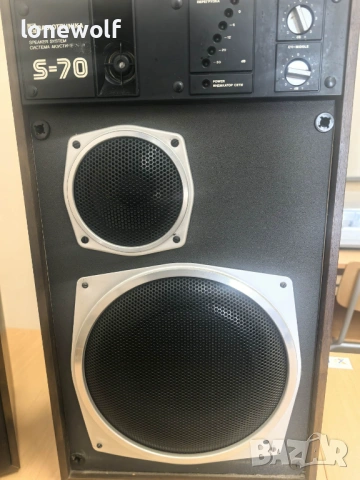 Тонколони Радиотехника S-70, снимка 2 - Тонколони - 53984272