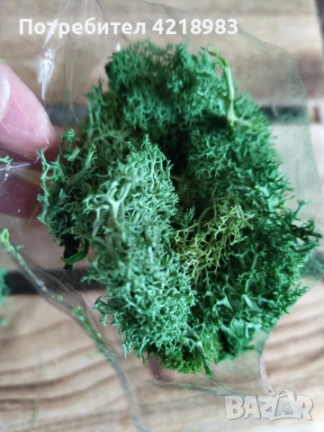 Изкуствен мъх за декорация 