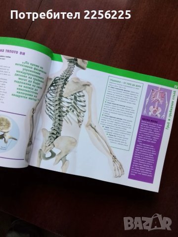Здрави кости,мускули и стави, снимка 5 - Специализирана литература - 50427115