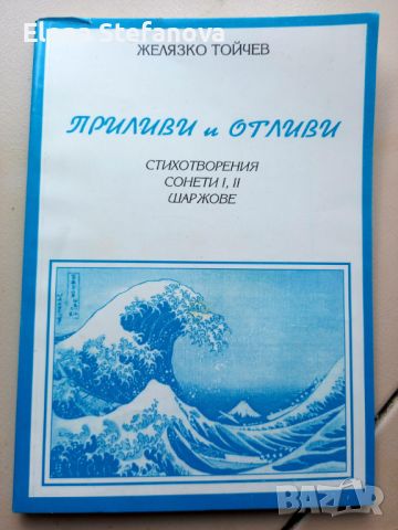 Приливи и отливи - Желязко Тойчев, снимка 1 - Художествена литература - 46632768