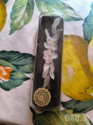 vintage украшение в кутия от Азорските острови