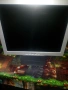 DAEWOO/Daytek 17" TFT LCD SXGA Monitor, снимка 1