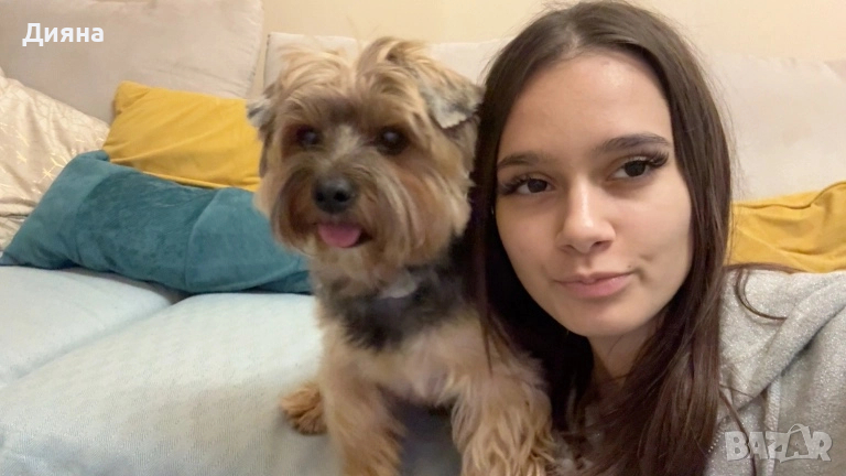 Разхождам кучета!, снимка 1